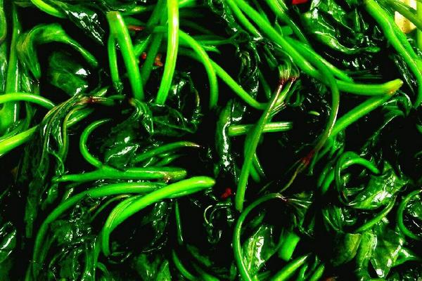 紅薯葉窩窩頭怎么做好吃又簡單 紅薯葉窩窩頭做法大全