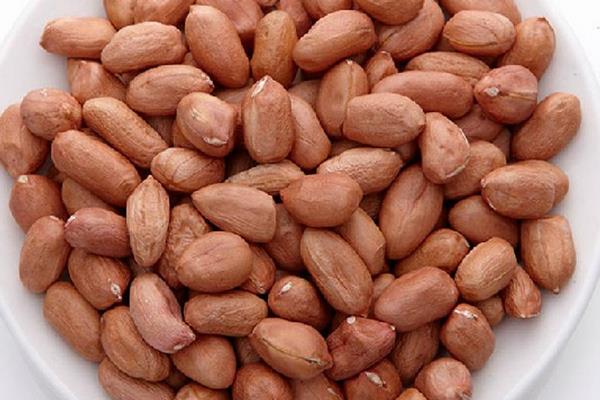 生花生米的功效與作用 生花生米的熱量是多少