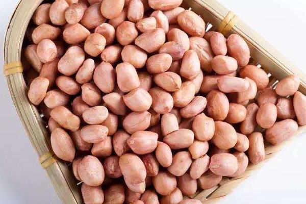 生花生米的功效與作用 生花生米的熱量是多少