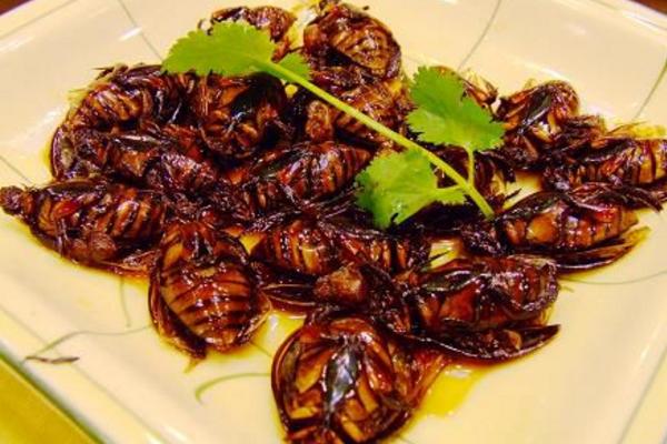 油炸蝗蟲的做法 油炸蝗蟲的功效與作用