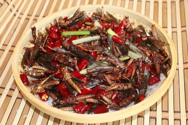 油炸蝗蟲的做法 油炸蝗蟲的功效與作用