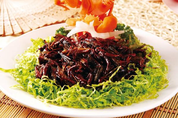 油炸蝗蟲的做法 油炸蝗蟲的功效與作用