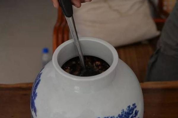 金蟬花泡酒的功效與作用 金蟬花泡酒方法