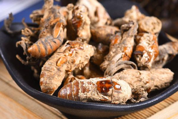 金蟬花市場(chǎng)價(jià)格多少錢一斤 如何清洗金蟬花