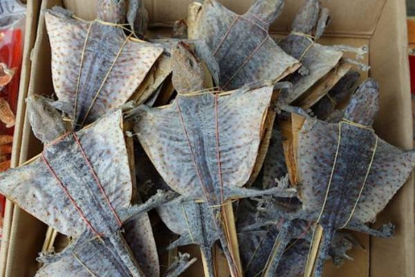 蛤蚧有毒嗎 蛤蚧產地在哪里