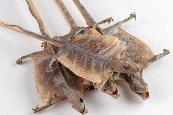 蛤蚧粉的功效與作用及禁忌 蛤蚧粉的藥用價(jià)值