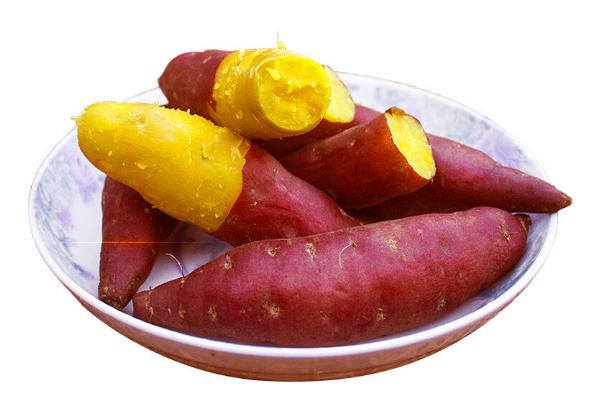 紅薯用什么肥料最好 怎樣控制紅薯藤的生長