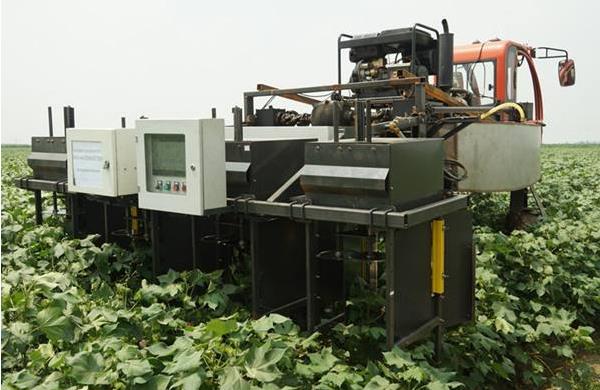 棉花打頂機市場價格多少錢一臺 棉花什么時候打頂