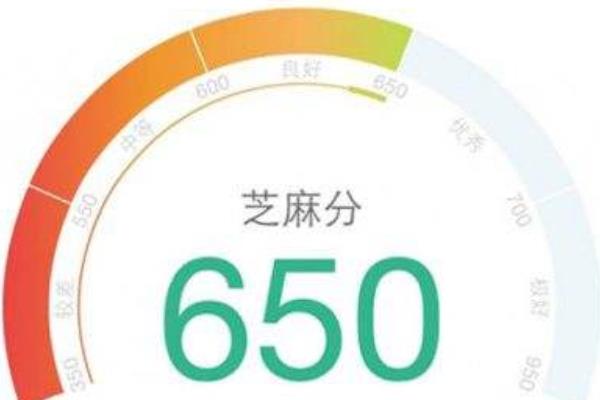 芝麻分是什么 芝麻分在哪里查看 為什么芝麻分一直不漲