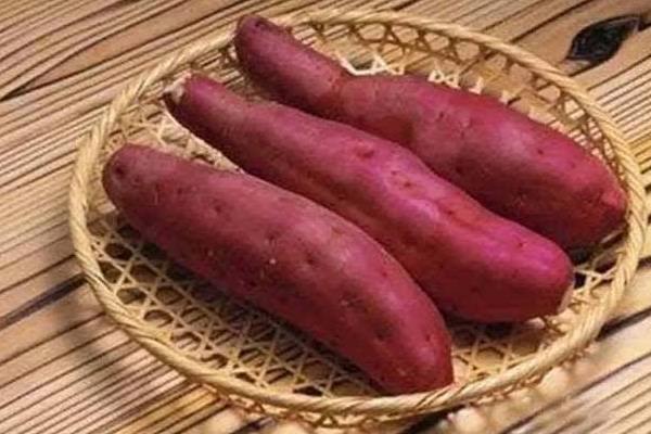 吃紅薯會放屁嗎 空腹能吃紅薯嗎