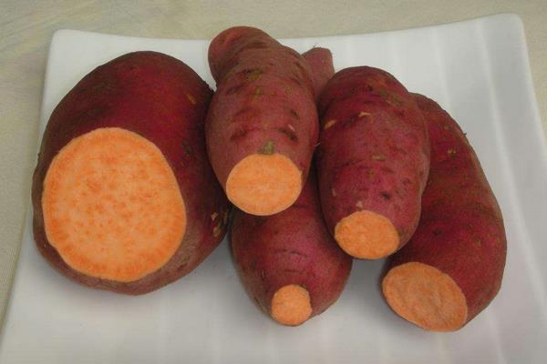 吃紅薯會放屁嗎 空腹能吃紅薯嗎