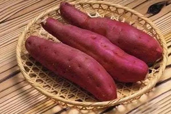 紅薯能放冰箱嗎 紅薯在家里怎么保存