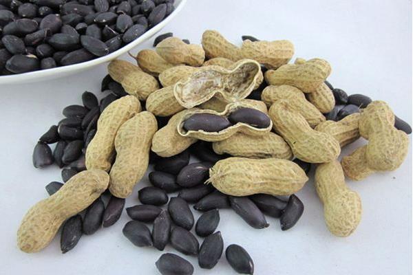 黑花生是轉(zhuǎn)基因食品嗎 黑花生是哪里的特產(chǎn)