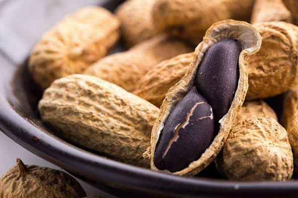 黑花生是轉(zhuǎn)基因食品嗎 黑花生是哪里的特產(chǎn)