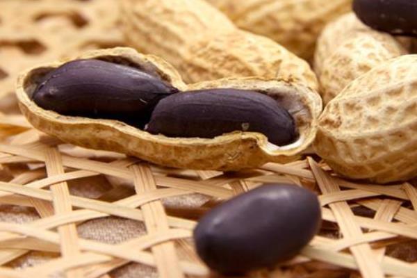 黑花生是轉(zhuǎn)基因食品嗎 黑花生是哪里的特產(chǎn)