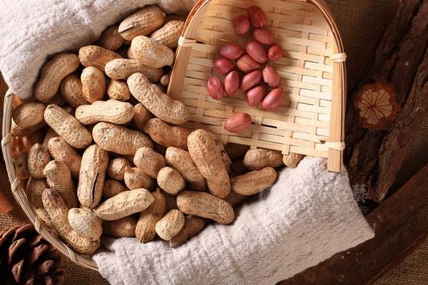 花生屬于粗糧嗎 花生屬于堅果嗎 花生屬性涼還是熱