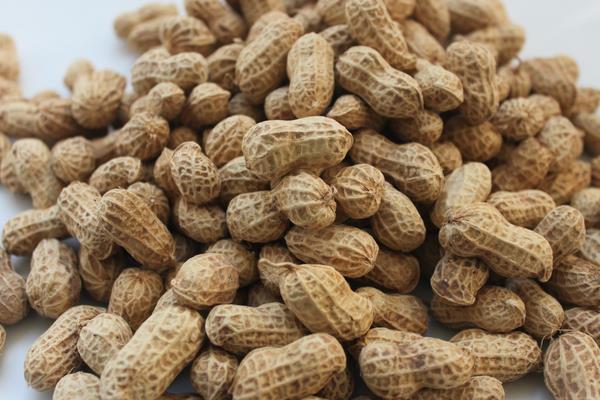 花生什么時候成熟 花生生長期是多少天