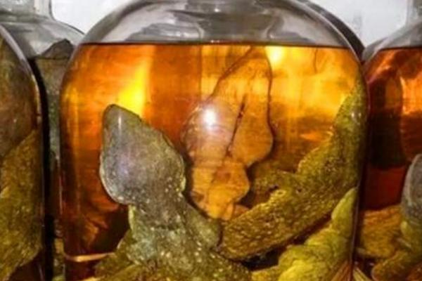 蛤蚧泡酒的功效與作用 蛤蚧泡酒的配方