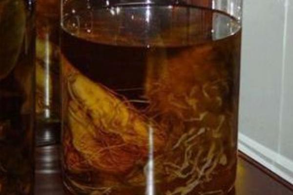 蛤蚧泡酒的功效與作用 蛤蚧泡酒的配方