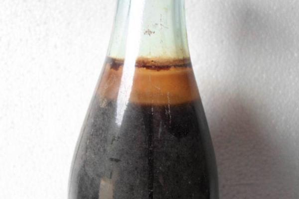 蛤蚧泡酒的功效與作用 蛤蚧泡酒的配方