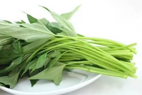 紅薯梗的功效與作用及禁忌 紅薯梗的藥用價值