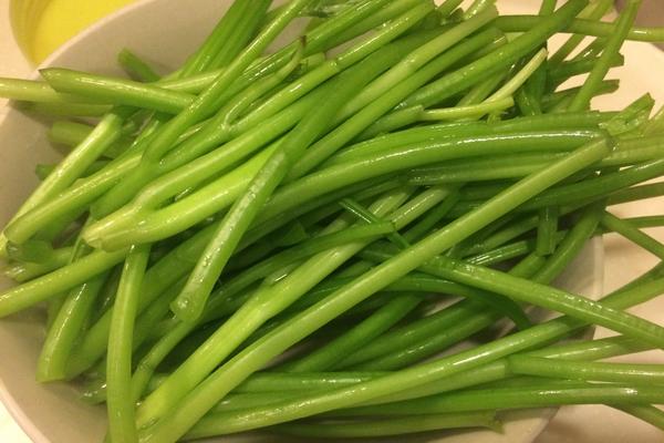 紅薯梗的功效與作用及禁忌 紅薯梗的藥用價值