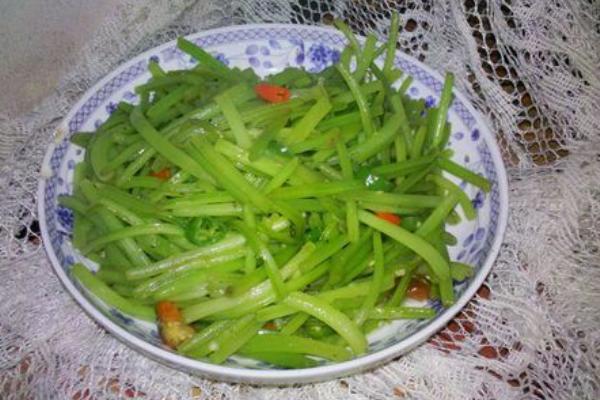 紅薯梗的功效與作用及禁忌 紅薯梗的藥用價值