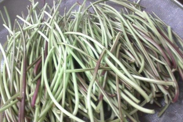 紅薯梗的功效與作用及禁忌 紅薯梗的藥用價值