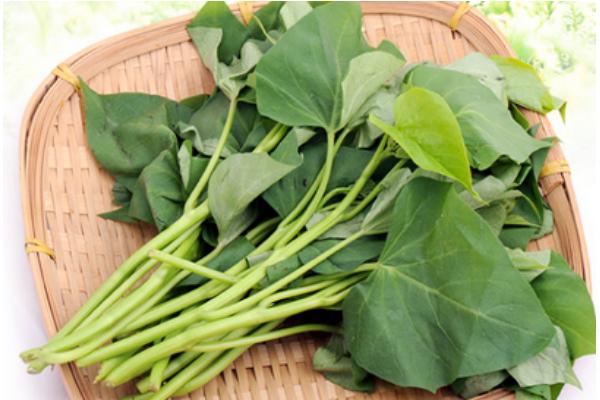 涼拌紅薯葉怎么做好吃又簡單 紅薯葉家常做法大全