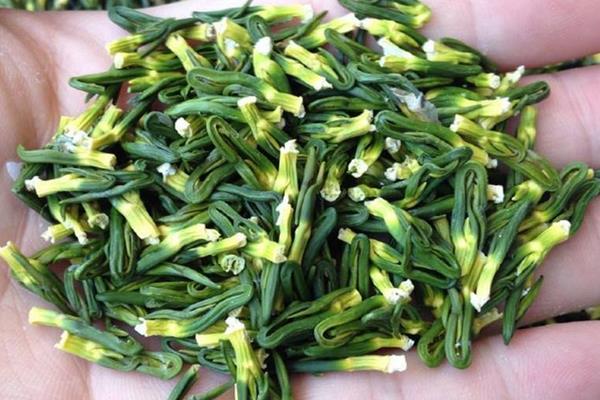 蓮心茶的功效與作用 蓮心茶怎么泡