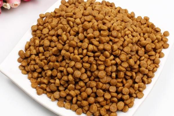 沙皮狗市場價(jià)格多少錢一只 沙皮狗好養(yǎng)嗎