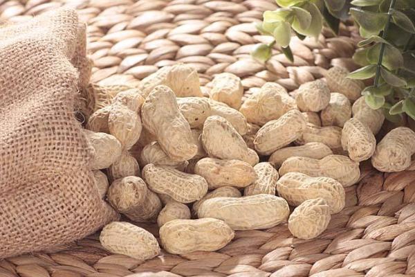 花生什么時(shí)候澆水最好 花生盛花期是什么時(shí)候