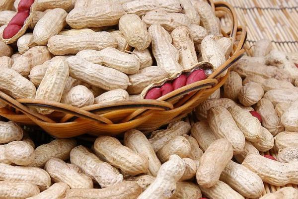 生花生和熟花生的區別是什么 生花生好還是熟花生好