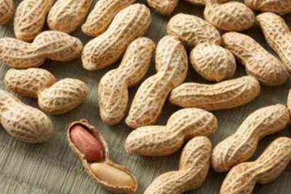 生花生和熟花生的區(qū)別是什么 生花生好還是熟花生好