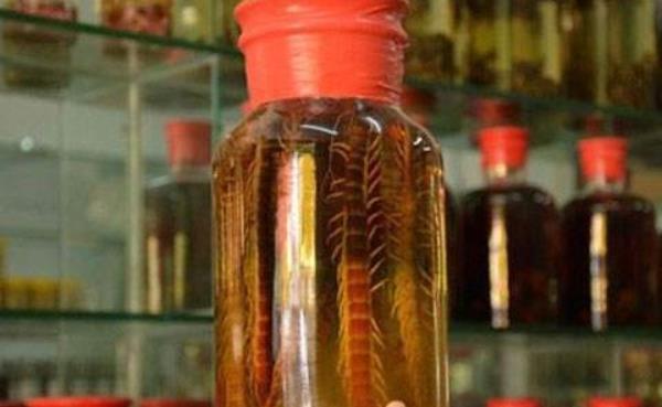 蜈蚣酒的功效與作用及禁忌 蜈蚣酒的制作方法