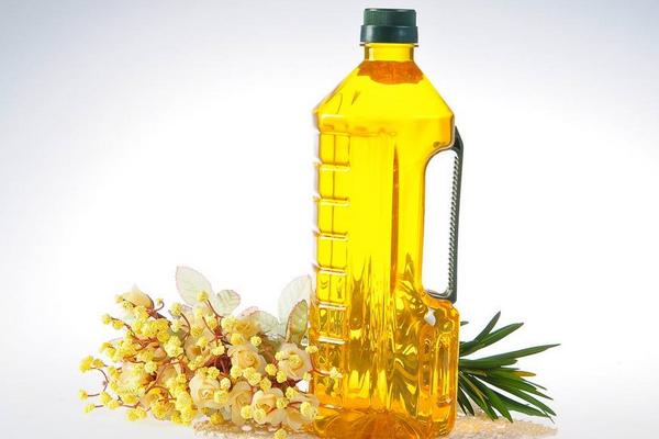 茶籽油的功效與作用 茶籽油怎么吃