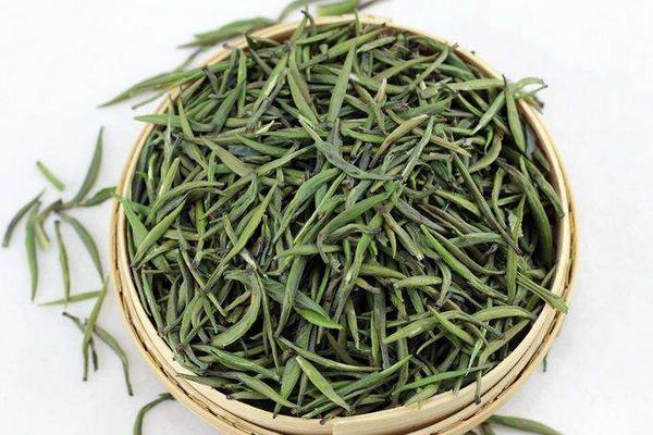 竹葉青茶怎么泡 竹葉青茶是不是竹子芽