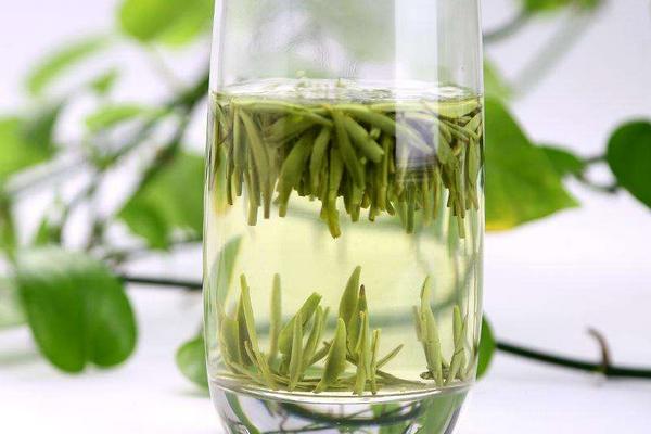 竹葉青茶市場價格多少錢一斤 竹葉青茶為什么這么貴