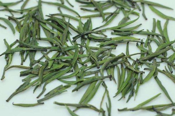 竹葉青茶市場價格多少錢一斤 竹葉青茶為什么這么貴