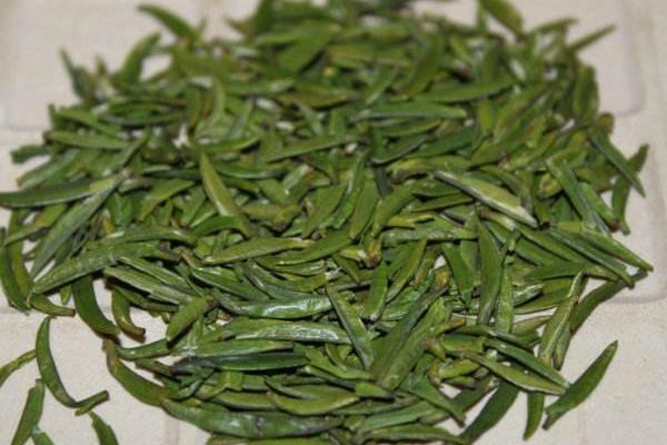 金壇雀舌市場價格多少錢一斤 金壇雀舌屬于什么茶