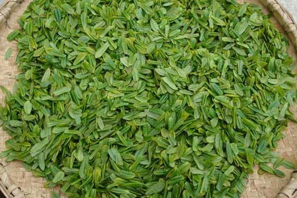 六安瓜片怎么泡 六安瓜片產地在哪里