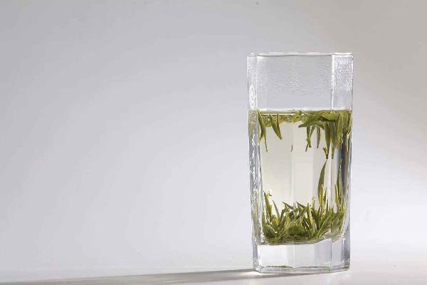 永川秀芽市場價格多少錢一斤 永川秀芽怎么泡