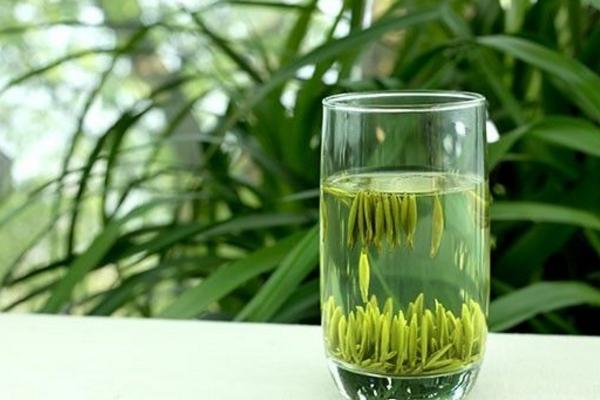 永川秀芽市場價格多少錢一斤 永川秀芽怎么泡