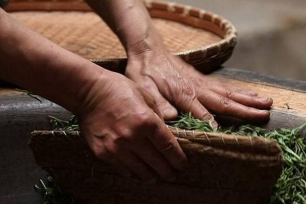 仙人掌茶市場價格多少錢一斤 仙人掌茶的功效與作用