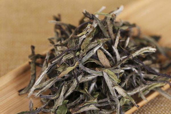 白茶是什么茶 白茶有幾種 為什么叫白茶