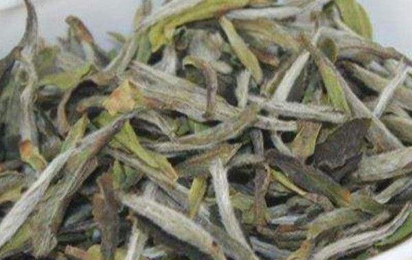 白茶是什么茶 白茶有幾種 為什么叫白茶