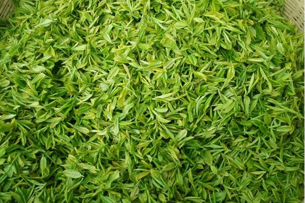 廬山云霧茶市場價格多少錢一斤 廬山云霧茶屬于什么茶