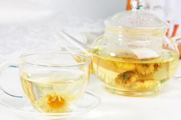 野菊花茶的功效與作用及禁忌 野菊花茶可以天天喝嗎