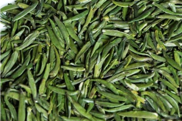 竹葉青茶的功效與作用 竹葉青茶什么人不能喝