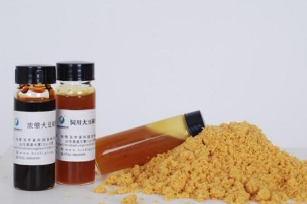 大豆磷脂的功效與作用 女人吃大豆磷脂的好處